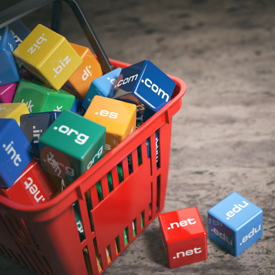 Domain Names in a shopping basket